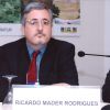 2004 - Photos